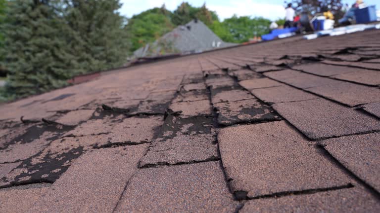 Best Roof Leak Repair  in Hooverson Heights, WV