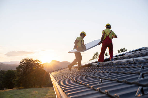 Best Skylight Installation and Repair  in Hooverson Heights, WV