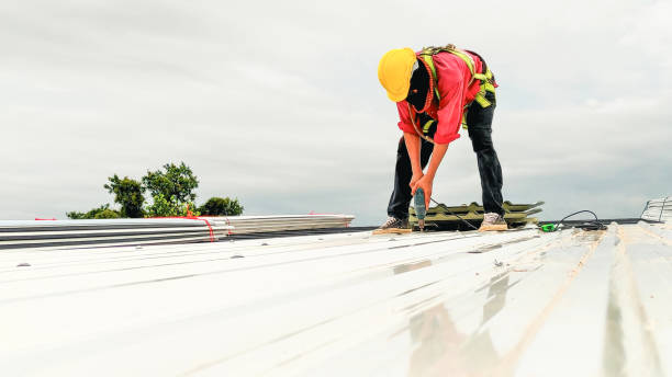Best Asphalt Shingle Roofing  in Hooverson Heights, WV