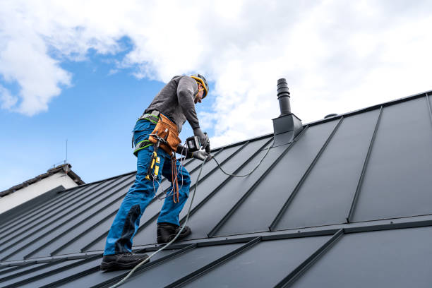 Best Solar Panel Roofing Installation  in Hooverson Heights, WV